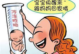 同性借卵助孕包生儿子